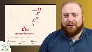 Is U5a1 Mitochondrial Haplogroup Only European?