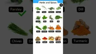 Herbs And Spices #shorts #ytshorts #herbs #spices #englishvocabulary #cheftips #chefstalk #ramchef