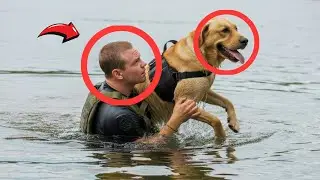 Navy SEAL Veteran Drowns in PTSD Flashback&mdash;His Service Dog Drags Him from Lake