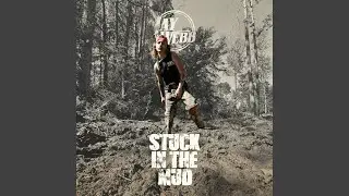 Stuck in the Mud