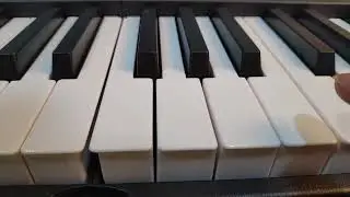 Piano Terence BX20 88keys for beginners to advance users full review
