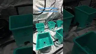 AirCube - Hydroponic Water system indoor cannabis grow