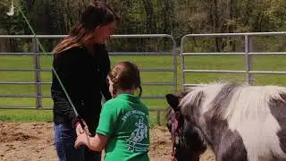 Sweet Meadow Farm - Addie's Farm Routine