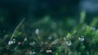 MICRO-ROBOTS CURATIVOS: &iquest;EL FIN de la Cirug&iacute;a? 🤖💊🤯