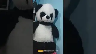 teddy bear ki #Sundar# video#