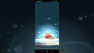 I evolve my magikarp to a gyarados.#pokemon #pokemongo #malaysia