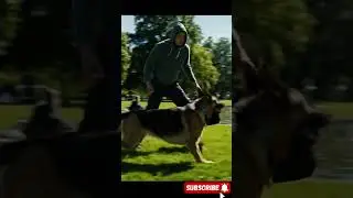 K9 dog saves people in the park #dog #saves