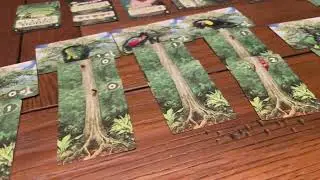 How to Play Weird City Games Canopy Board Game