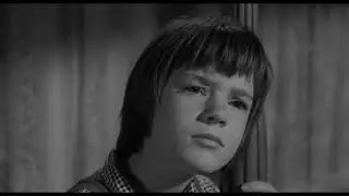 &ldquo;To Kill a Mockingbird&rdquo; by Harper Lee - Literary Adaptation exam
