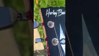 Unboxing part 2. Harley Benton DC-580 CH. Gibson SG copy. Basswood body maple neck and fretboard.