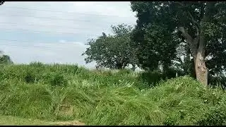 बिहटा आईआईटी से 5 km दूरी पर हाईटेक टाउन के पास कीमत 9 लाख पर कट्ठा 9798023419/8080801651