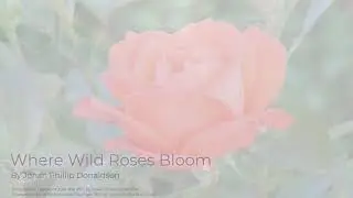 Where Wild Roses Bloom - Jonan Phillip Donaldson