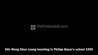 PHB Ving Tsun Kung Fu