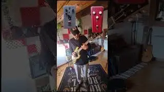 Canebau  fuzz  e Dophix Dante.