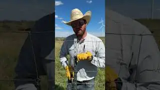 The US Beef Industry Leads the World