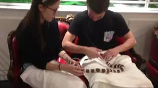 Snake Cafe   Petting the Snakes!