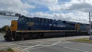 Railfanning Meadow Woods, FL Ft. CSXT 1981 Pan Am Heritage Unit