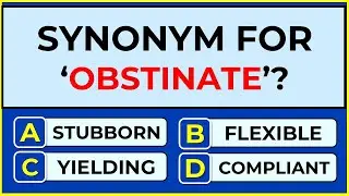 Only English Pros Can Ace This 😏 25-Question Synonym Quiz Challenge