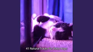 Fight Off Insomnia