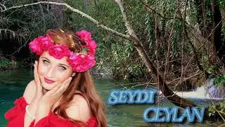 Köprüden Geçti Gelin - Seydi Ceylan (Elektro Bağlama)
