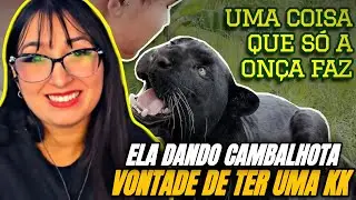 REACT ONÇA-PINTADA, A MORDIDA MAIS FORTE DE TODAS!! 😱 | TIAGO JÁCOMO | THAY REACT