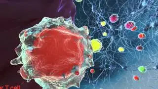 Dr. Ralph Kern Discusses the Immune System&rsquo;s Role in MS