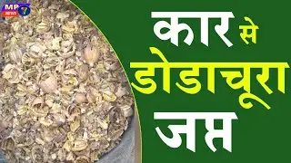 कार से डोडाचूरा जप्त/kar se dodachura japt/Dodachura seized from car/mp7news/mandsornews/mhendrpikup
