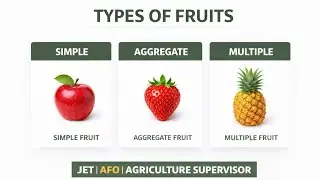 Fruit Types | Horticulture | Simple, Aggregate & Multiple Fruits | JET | AFO | Agri Supervisor