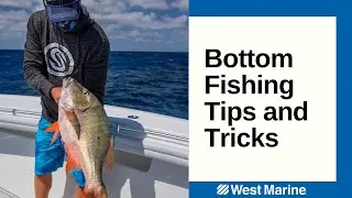 Bottom Fishing Tips Presented by Into the Blue