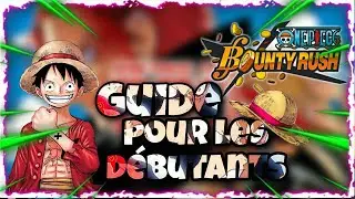 Guide d&eacute;butant OPBR
