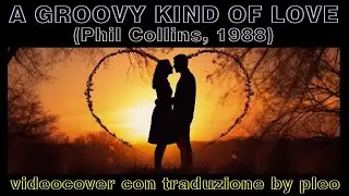 A groovy kind of love (video cover con traduzione by pleo)