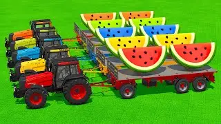 LOAD AND TRANSPORT GIANT WATERMELONES WITH VALTRA TRACTORS & FORKLIFTS - Farming Simulator 25