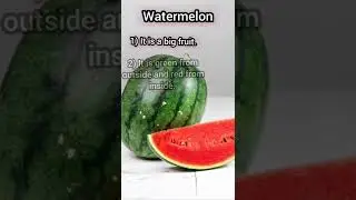 Five lines about Watermelon🍉 information about watermelon🍉 #shorts #study #kids (@KidsTV123)