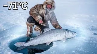 How Nomads Caught 5000kg of Fish at &minus;71&deg;C to Save Their Village