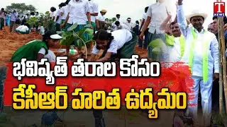 Haritha Haram Programme Special Story | CM KCR BRS Party | T News