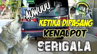 Pasang kenalpot Serigala di mobil bensin || GRANMAX LUXIO