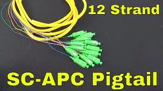 12 Strand Singlemode SC-APC Fiber Pigtail (3 Meter)