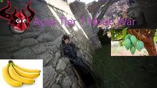 BDO Succession Hashashin Tier 1 Node War