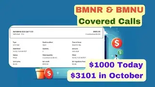 [2025-10-20] BMNR & BMNU - Covered calls - Collected $1000 options premium