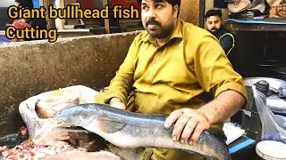 Amazing cutting of snakehead Murrel fish| Murrel fish|fish cutting process step by step
