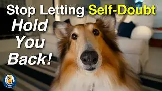 Fear Of Criticism? Why Facing The Camera Is The First Step To Becoming A Better Dog Trainer #295