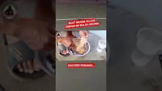 Umpan jitu musim hujan #mancing #shorts #short #umpanikanmas #mancingikanmas #umpanjitu