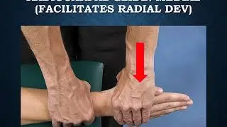 The Mobil-Aider: Wrist Hand Mobilizations Learning Module