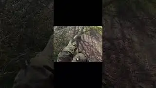 🔗 full video on the channel 📸 #arborist #treework #treeclimbing #crownreduction #treepruning