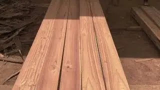 Premium quality Sudan teak, MP teak, Brazil teak and all other teak wood wholesaler store.