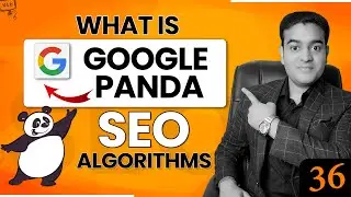 What is Panda Update in SEO | Google Panda Algorithm Tutorial in English | #pandaupdate #seocourse