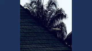 Lovely (summer reverb)