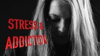 STRESS a Doorway to ADDICTION