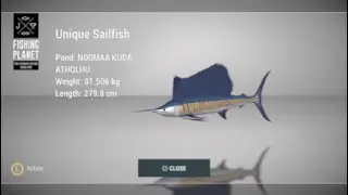 How to catch Unique Sailfish at Maldives