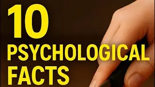 10 Psychological Facts You Never Knew 🤯 | Satisfying Food Cutting Video